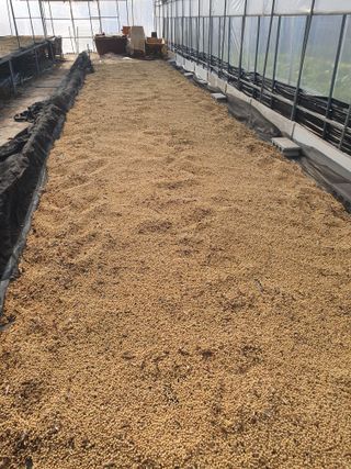 Chon792679님의 농사에 새로운 기회가 주어진다면? · 참여글 작성글 사진