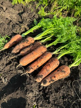 김훈님의 작성글 사진