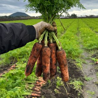 김훈님의 작성글 사진