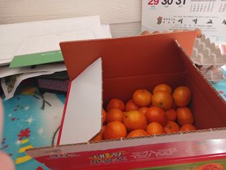 알 수 없음님의 자유주제 · 자유게시판 작성글 사진