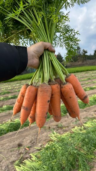 김훈님의 작성글 사진