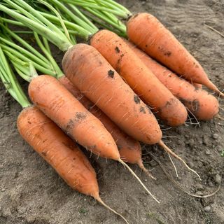 김훈님의 작성글 사진