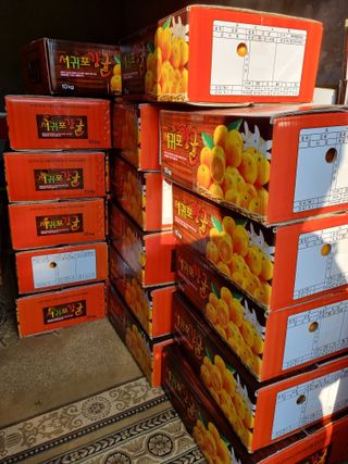 박종례님의 👍올해 나의 최고 자랑은? · 참여글 작성글 사진