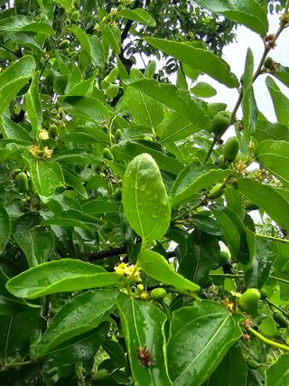 배성은365님의 농사에 새로운 기회가 주어진다면? · 참여글 작성글 사진