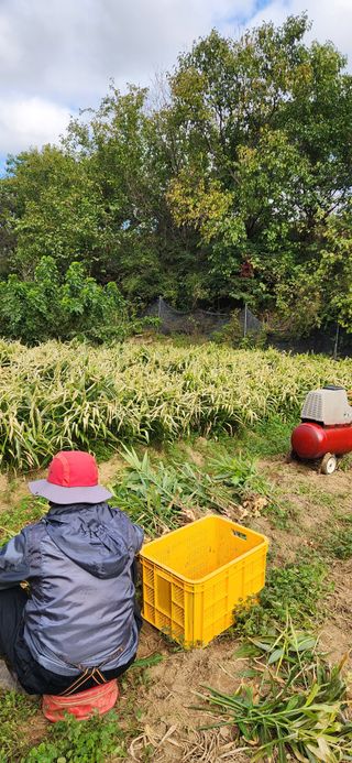 최군환님의 👍올해 나의 최고 자랑은? · 참여글 작성글 사진