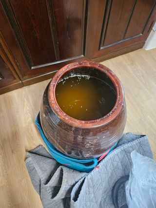 용포물레방아님의 자유주제 · 자유게시판 작성글 사진