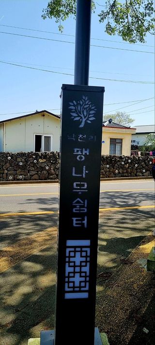 (팽나무*공주)님의 👍올해 나의 최고 자랑은? · 참여글 작성글 사진