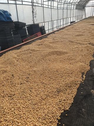 Chon792679님의 농사에 새로운 기회가 주어진다면? · 참여글 작성글 사진