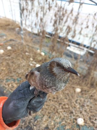 박린님의 자유주제 · 자유게시판 작성글 사진