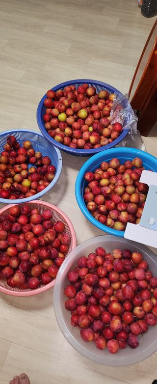 덕포킴님의 👍올해 나의 최고 자랑은? · 참여글 작성글 사진