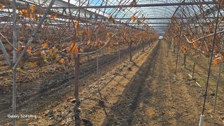 상도님의 자유주제 · 자유게시판 작성글 사진