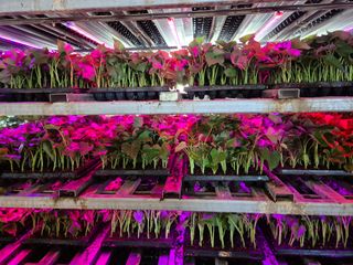 김동수님의 자유주제 · 자유게시판 작성글 사진