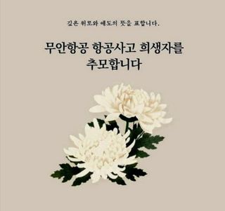 민민농원님의 자유주제 · 자유게시판 작성글 사진