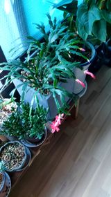 팜모닝 자유주제·자유게시판 게시글 이미지