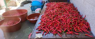 덕포킴님의 👍올해 나의 최고 자랑은? · 참여글 작성글 사진