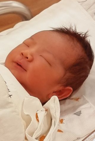 오학봉(멀티팜)님의 👍올해 나의 최고 자랑은? · 참여글 작성글 사진