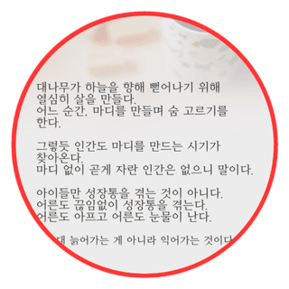 인생은 소풍처럼님의 자유주제 · 자유게시판 작성글 사진
