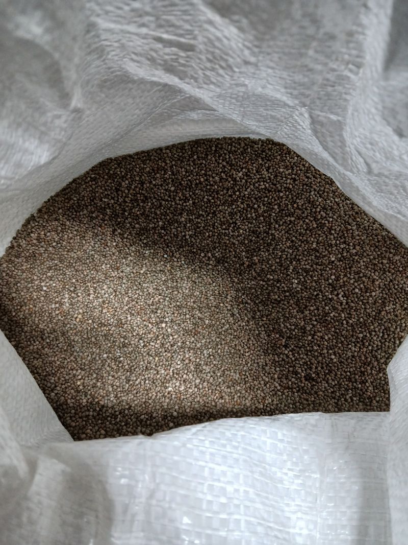 장터 상품 [들깨5kg] 썸네일