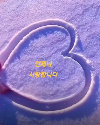 인생은 소풍처럼님의 자유주제 · 자유게시판 작성글 사진