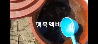 정찬영님의 작성글 사진