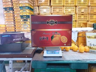 강중영님의 작성글 사진