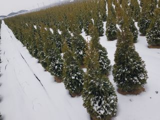 영천경마장조경수농원님의 👍올해 나의 최고 자랑은? · 참여글 작성글 사진