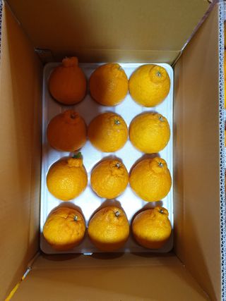 강중영님의 작성글 사진