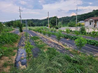 전홍열님의 작성글 사진