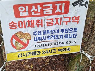 조재덕님의 👍올해 나의 최고 자랑은? · 참여글 작성글 사진