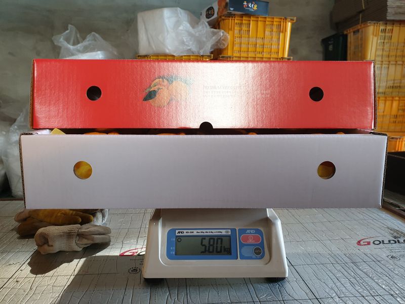 강중영님의 장터 판매 상품 [감귤 판매합니다 5kg/10kg/15kg] 첨부 사진