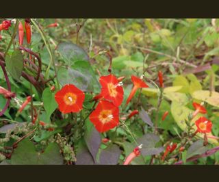 정찬영님의 자유주제 · 자유게시판 작성글 사진