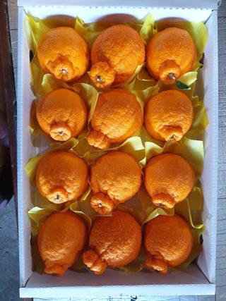 강중영님의 작성글 사진