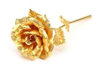 안길원님의 자유주제 · 자유게시판 작성글 사진