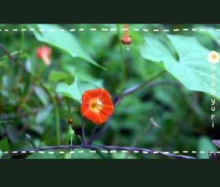 정찬영님의 자유주제 · 자유게시판 작성글 사진