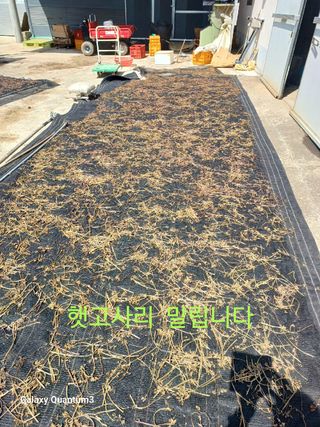 오금식(대청농원)님의 2025년, 농사계획은 어떻게 되시나요? · 참여글 작성글 사진