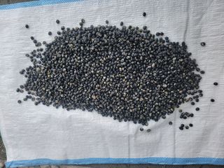 이은호님의 작성글 사진