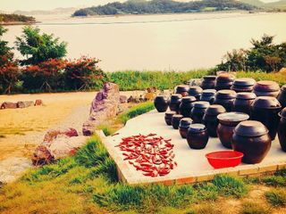 Kbd1961님의 2025년, 농사계획은 어떻게 되시나요? · 참여글 작성글 사진