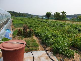 최상범님의 2025년, 농사계획은 어떻게 되시나요? · 참여글 작성글 사진