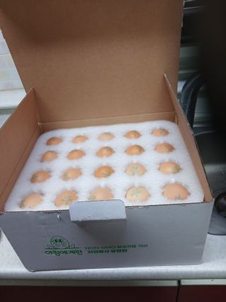 알 수 없음님의 자유주제 · 자유게시판 작성글 사진