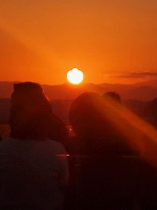 복주농장님의 자유주제 · 자유게시판 작성글 사진