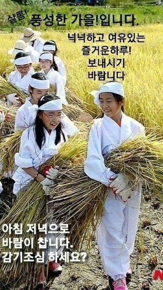 Kbd1961님의 2025년, 농사계획은 어떻게 되시나요? · 참여글 작성글 사진