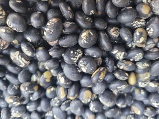 이은호님의 작성글 사진