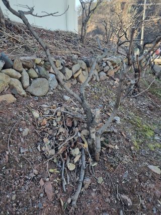 김용대님의 자유주제 · 자유게시판 작성글 사진