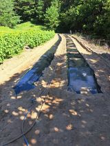 팜모닝 2025년, 농사계획은 어떻게 되시나요?·참여글 게시글 이미지