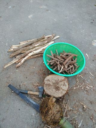 이현상님의 자유주제 · 자유게시판 작성글 사진