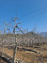 팜모닝 2025년, 농사계획은 어떻게 되시나요?·참여글 게시글 이미지