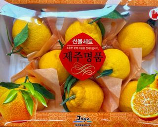 농부손녀님의 작성글 사진