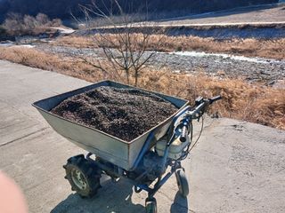 알 수 없음님의 자유주제 · 자유게시판 작성글 사진