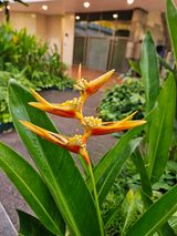 팜모닝 · 게시글 이미지