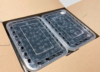 농부손녀님의 작성글 사진